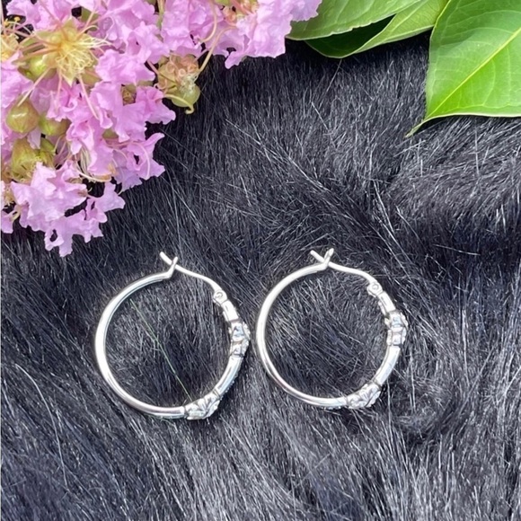 NWT Savvy Cie Rhodium Plated Pave Blue Crystal & SilverTone Hoop Earrings - Picture 7 of 12